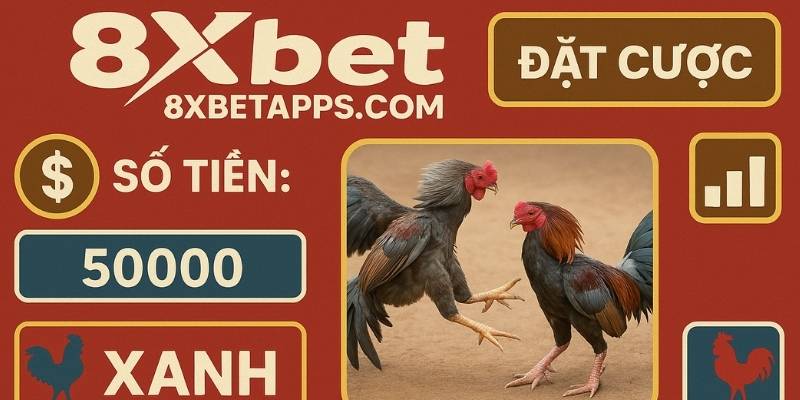 Kinh nghiệm nuôi gà đá - Giữ phong độ gà đá lâu dài nhờ dinh dưỡng hợp lý, tập vừa sức và chăm sóc tự nhiên tại 8xbet