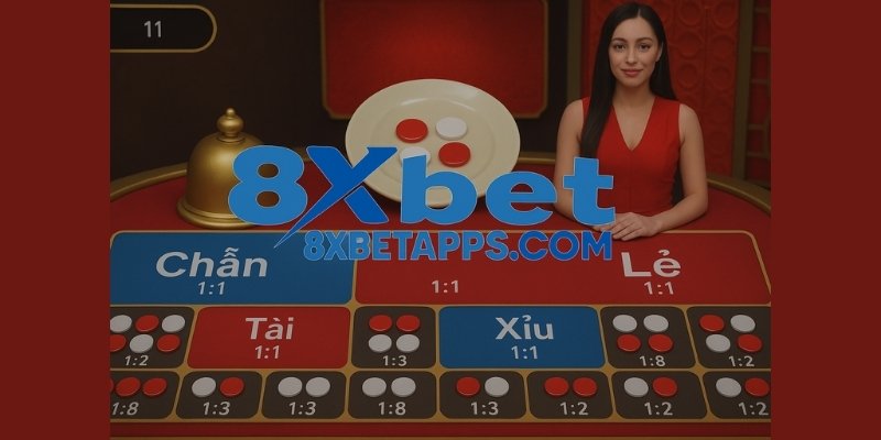 Cách chơi xóc đĩa 8xbet - đặt cược, xóc bát, mở kết quả – đơn giản mà hấp dẫn